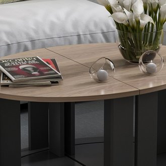 Table Basse Antella Compacte Modulable - avec Étagères - pour Salon, Canapé - Noir en Bois, 90 x 60 x 41 cm