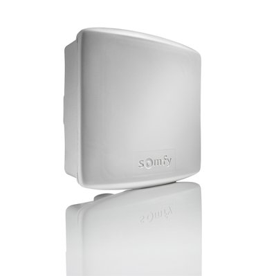 SOMFY 2400583 - Récepteur d'éclairage extérieur RTS 500W - Compatible TaHoma (switch) - 2400583 - 3660849005832