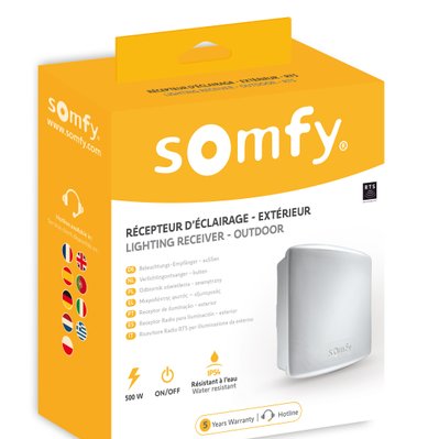 SOMFY 2400583 - Récepteur d'éclairage extérieur RTS 500W - Compatible TaHoma (switch) - 2400583 - 3660849005832