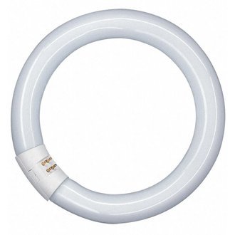 Tube fluorescent Circline - G5 - 32 W - Ø 29 mm - blanc froid