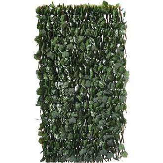 Clôture en treillis de saule "Fragon" - 200 x 100 cm - Vert