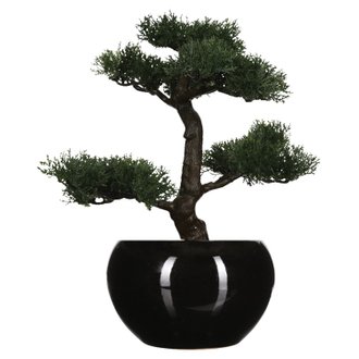 Bonsaï artificiel avec pot - H. 36 cm - Noir