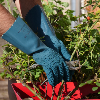 Gants de jardinage long PROTECTMAX ROSTAING - rosiers/petits épineux - latex épais - bleu  - PROTECTMAX-IT08 - 3353090089798
