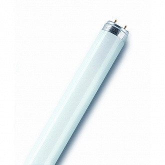 Tube fluorescent T8 - G13 - 36W - 3350 lm - Ø26 mm - blanc froid