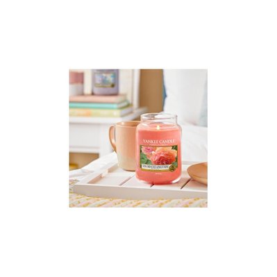 Bougie jarre en verre senteur rose et abricot Grand modèle - 47891 - 5038581033211