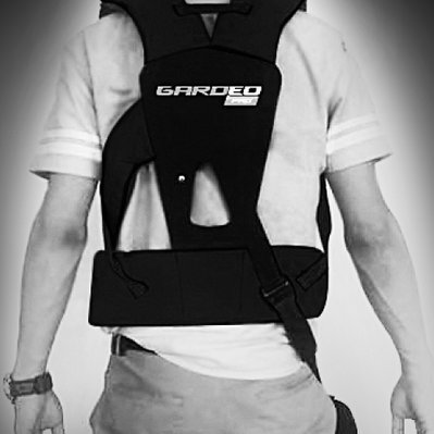 Kit protection visage + harnais universel - Gardeo - GPROTECT-7 - 5411074202569