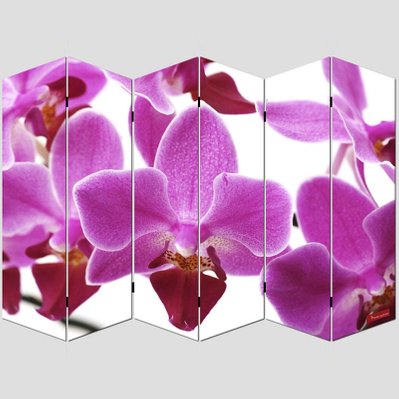 Paravent 6 panneaux pans séparateur de pièce 180x240cm motif orchidee PAR04008 - par04008 - 3000103990625