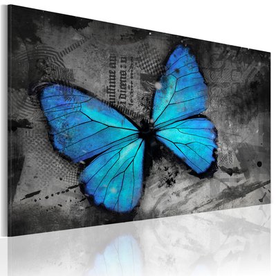 Tableau toile de décoration motif Etude d'un papillon 120x80cm DEC110598 - DEC110598 - 3001276743568