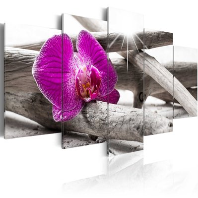 Tableau toile de décoration motif Orchidée sur la plage 200x100cm DEC110119/2 - DEC110119/2 - 3001321546526