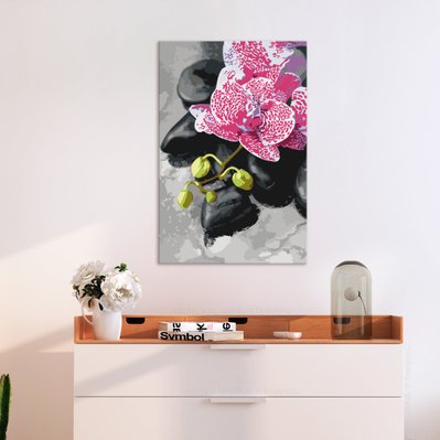 Tableau à peindre soi-même peinture par numéros motif Orchidée rose 40x60 cm TPN110121 - TPN110121 - 3001500669602