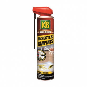 Insecticide spécial insectes rampants KB Home Defense - aérosol 400 ml