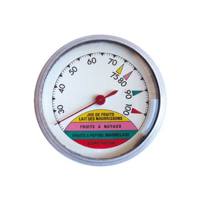 Thermomètre pour stérilisateur 100°c  - GUILLOUARD - 12661 - 134265 - 3273960126616