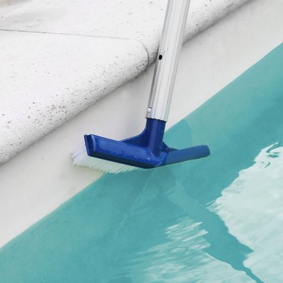 Tête de brosse paroi 25 cm bleu pour piscine adaptable sur manche standard ou télescopique - EGK912 - 3662348027995