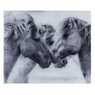 Fond de hotte en verre trempé chevaux sauvages - Longueur 60 cm x Largeur 50 cm
