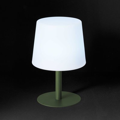 Mini lampe acier vert cactus - 105984 - 3663095037237
