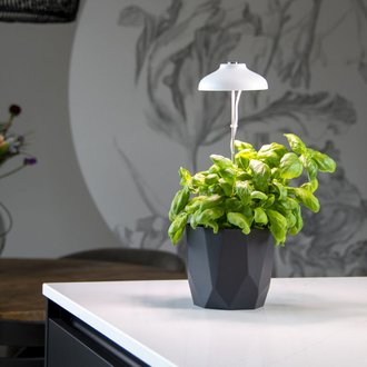 Lampe de croissance pour plantes - blanc