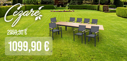 TABLE EXTENSIBLE HENRI 8 12 PLACES à prix discount sur BRICOPRIVÉ